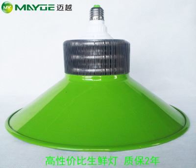 工礦燈/生鮮燈套件：專業豬肉燈外殼，提升生鮮展示照明效果